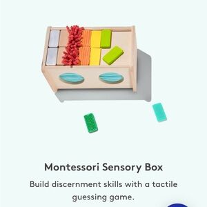 Lovevery Montessori Sensory Box from the Analyst Kit (Months 46,47, 48)